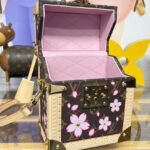 Louis Vuitton X TM Camera Box M14173 Brown